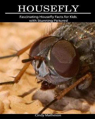 Book cover for Housefly