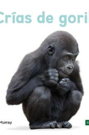 Cover of Crías de Gorilas (Baby Gorillas)