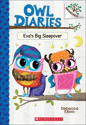 Book cover for Eva's Big Sleepover
