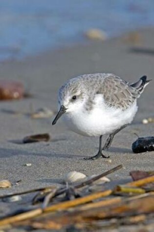 Cover of Sanderling Bird Journal (Calidris Alba)