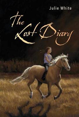 Book cover for The Lost Diary