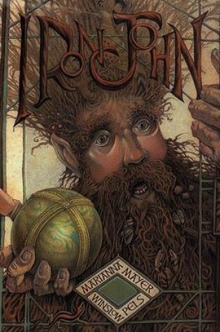 Cover of Iron John