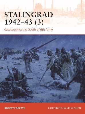 Book cover for Stalingrad 1942-43 (3)
