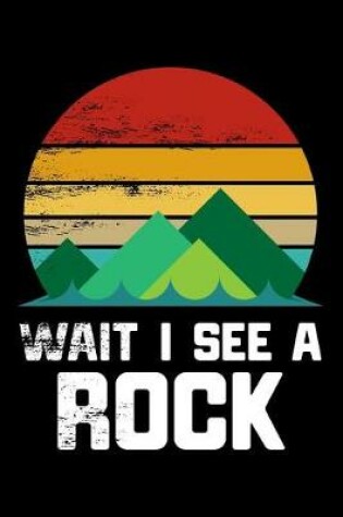 Cover of Wait I See A Rock
