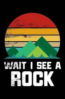 Book cover for Wait I See A Rock