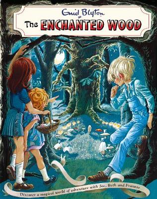 Book cover for The Enchanted Wood Vintage