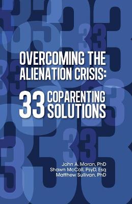 Book cover for Overcoming the Alienation Crisis