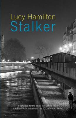 Book cover for Stalker