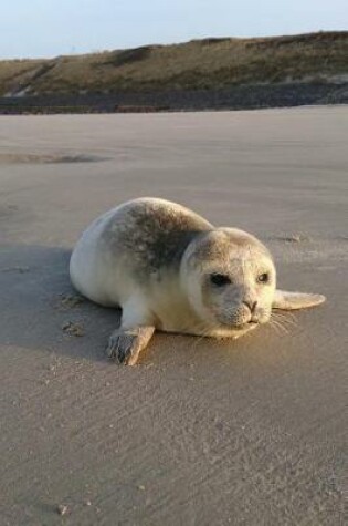 Cover of Sweet Little Seal on the Beach Marine Animal Journal