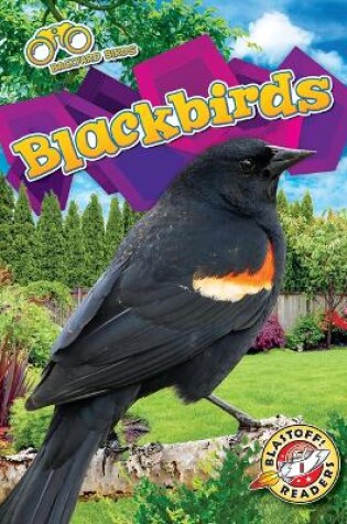 Cover of Blackbirds