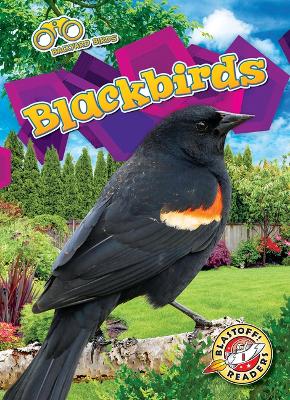 Book cover for Blackbirds