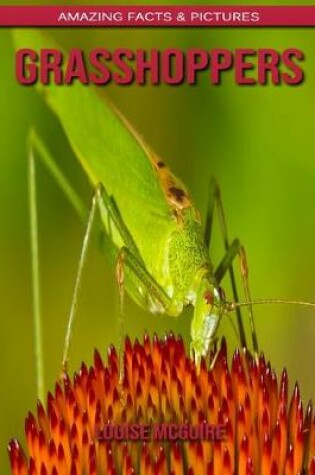 Cover of Grasshoppers