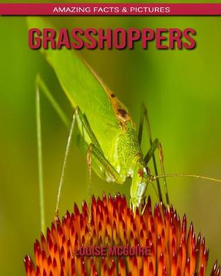 Book cover for Grasshoppers