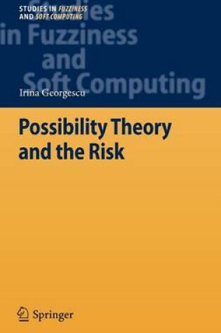 Cover of Possibility Theory and the Risk