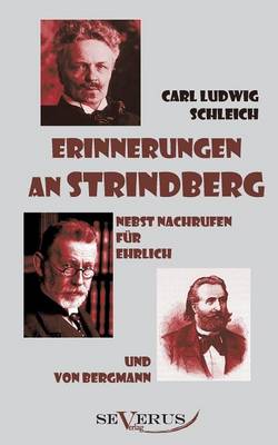 Book cover for Erinnerungen an Strindberg nebst Nachrufen für Ehrlich und von Bergmann