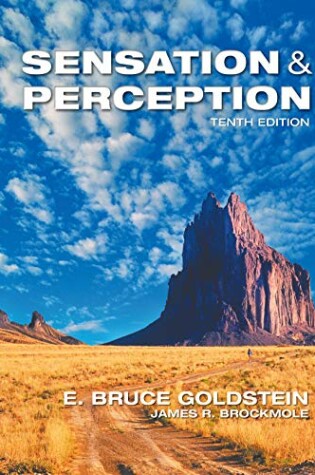 Cover of Sensation/Perception