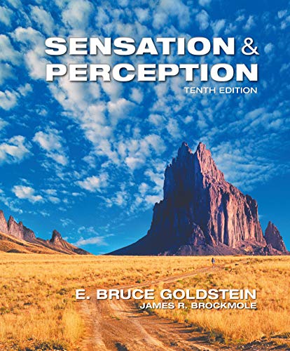 Book cover for Sensation/Perception