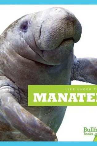 Cover of Manatees