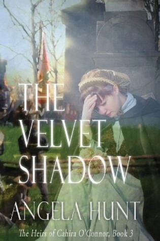 Cover of The Velvet Shadow