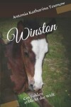 Book cover for Winston