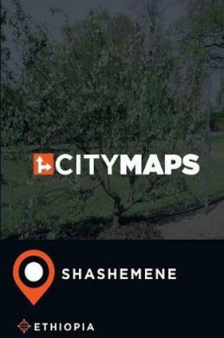 Cover of City Maps Shashemene Ethiopia