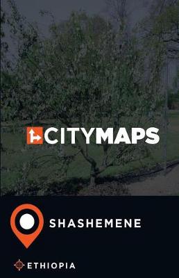 Book cover for City Maps Shashemene Ethiopia