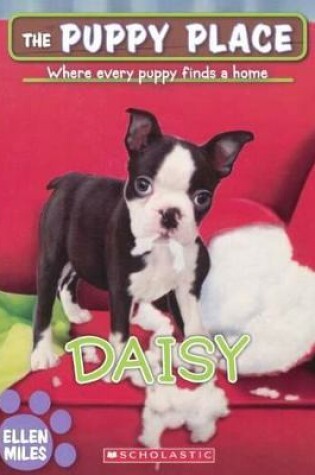 Cover of Daisy