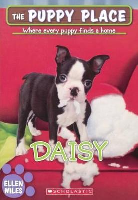 Book cover for Daisy