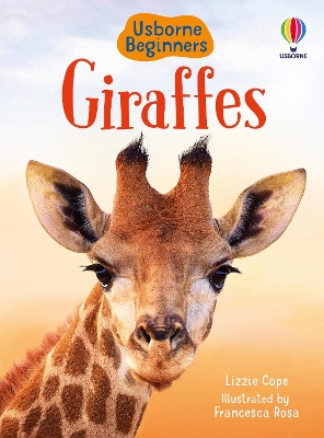 Book cover for Giraffes