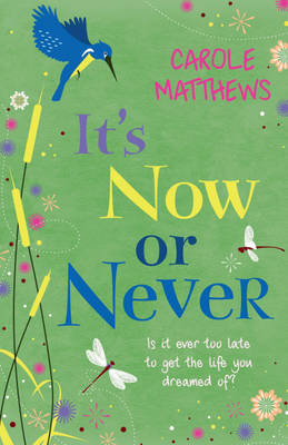 Book cover for It's Now or Never