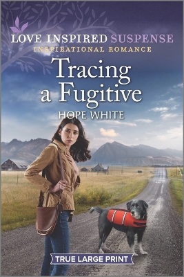 Book cover for Tracing a Fugitive