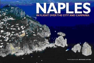Book cover for Naples: Italy from Above