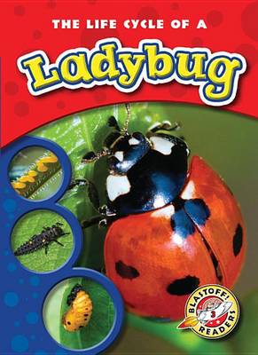 Cover of The Life Cycle of a Ladybug