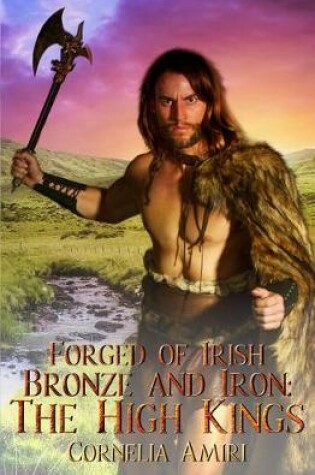 Cover of Forged of Irish Bronze and Iron