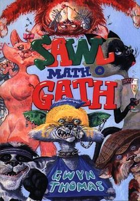 Book cover for Sawl Math o Gath