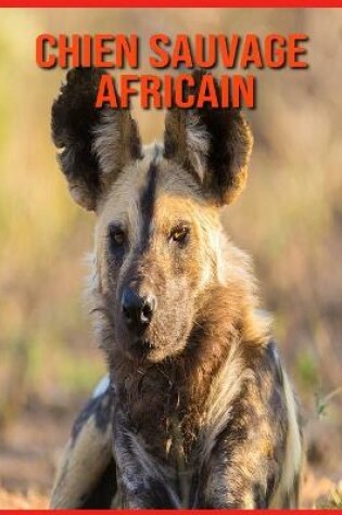 Cover of Chien Sauvage Africain