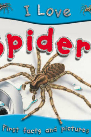 Cover of I Love Spiders