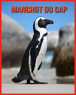 Book cover for Manchot du Cap