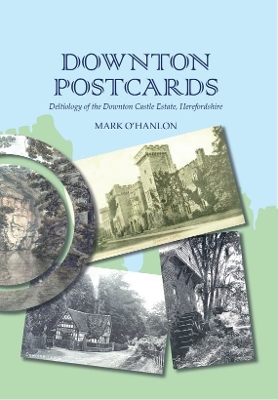 Book cover for Downton Postcards