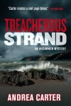 Book cover for Treacherous Strand