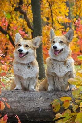 Book cover for Two Corgi Dogs in an Autumn Wood Journal