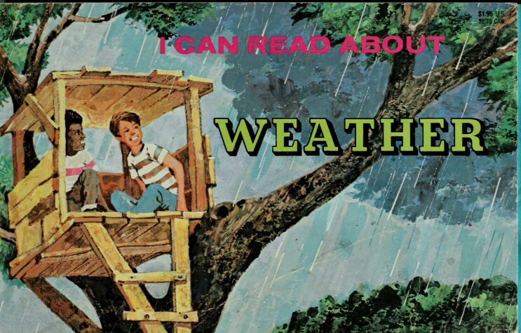 Book cover for Weather