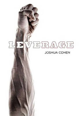 Book cover for Leverage