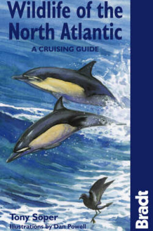 Cover of Wildlife of the North Atlantic