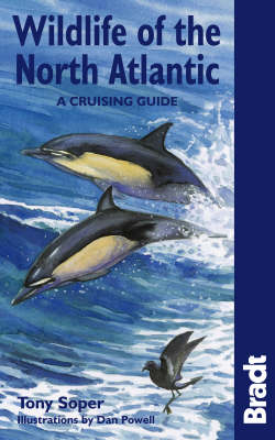 Book cover for Wildlife of the North Atlantic