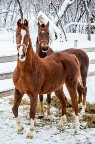 Cover of American Saddlebred Horse in Winter Journal