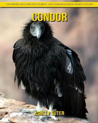 Book cover for Condor