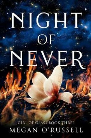 Cover of Night of Never