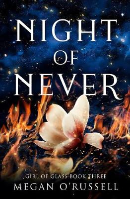 Cover of Night of Never