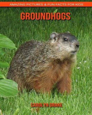 Book cover for Groundhogs